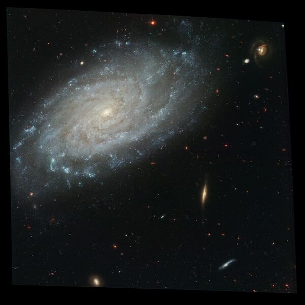 File:NGC 3370 Hi.jpg