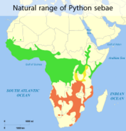Natural Range of Python sebae.svg