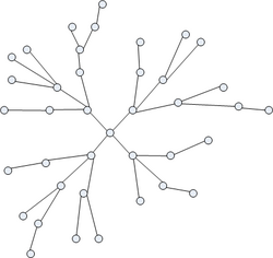 Network Tree diagram.png