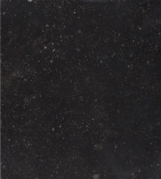 File:Petit granit, carbon limestone - b.jpg