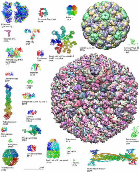 File:Protein structure examples.png