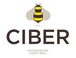 The logo of the Centre for Integrative Bee Research as used since 2010.jpg