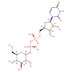 UDP-glucose.png