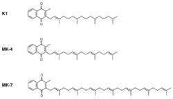 Vitamin K structures.svg