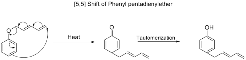[5,5] shift of phenyl pentadienyl ether