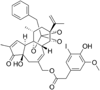 5-iodoresiniferatoxin.png