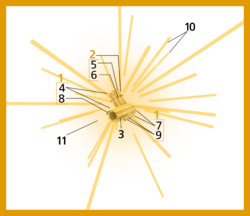 Centrosome (numbers version).svg