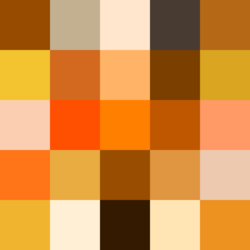 Color icon orange.png