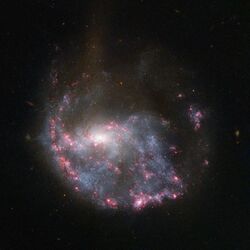 Hubble view of NGC 922.jpg