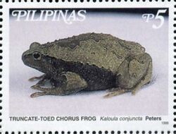 Kaloula conjuncta 1999 stamp of the Philippines.jpg