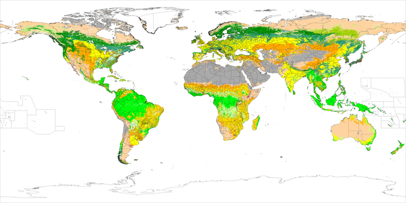 File:Land cover IGBP.png