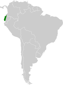 Lophostoma occidentalis map.svg