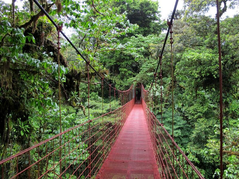 File:Monteverde puente.jpg