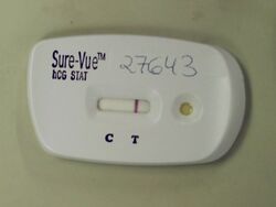 Negative Pregnancy Test.JPG