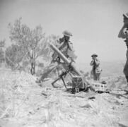 The British Army in Sicily 1943 NA5666.jpg