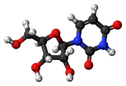 Uridine 3D ball.png