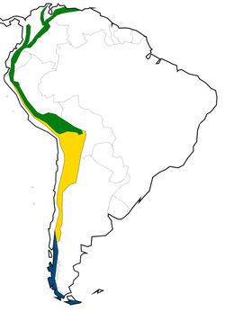 Andes clima.png