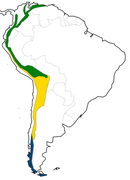 File:Andes clima.png