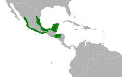 Cyanocompsa parellina map.svg