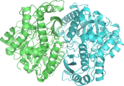 Enolase 2ONE wpmp.png