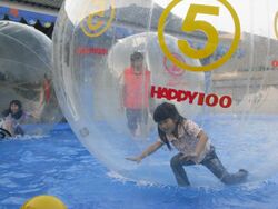 Kids in inflatable floating balls.JPG