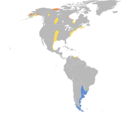 Limosa haemastica map.svg