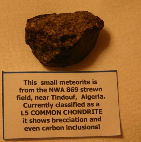 File:Meteorite Tindouf NWA 869.jpg