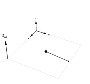 Visualization of the dynamics described by the Bloch equations