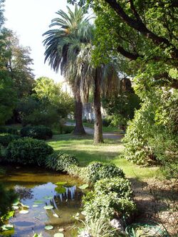 Orto botanico di Pisa - general view.JPG