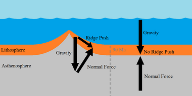 This image shows a mid-ocean ridge in cross-section. The material nearest the ridge (less than 90 million years old) experiences gravity and an angled normal force, resulting in a net force down and away from the ridge. Material older than 90 million years experiences gravity and an equal but directly opposite normal force, producing no ridge push.