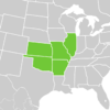 Symphyotrichum anomalum distribution map: US — Arkansas, Illinois, Kansas, Missouri, and Oklahoma.