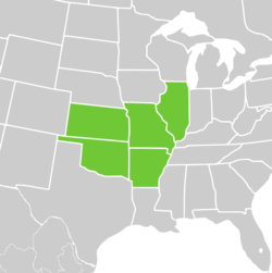 Symphyotrichum anomalum native distribution: US — Arkansas, Illinois, Kansas, Missouri, and Oklahoma.