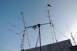 Vu2gmn antenna.jpg