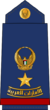 10-UAEAF-LTC.svg