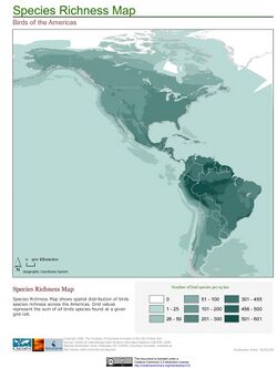 Americas Bird Species Richness Map (5457385535).jpg