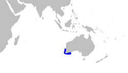 Aulohalaelurus labiosus distmap.png