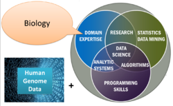 Bioinformatics.png