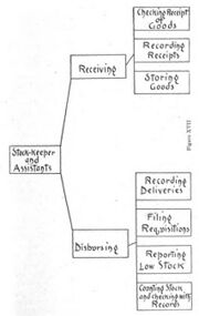 Chart of Stock Department, 1905
