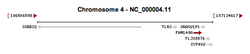 FAM149A Chromosome Location.png