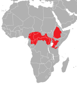 Mapa distribución Colobus guereza.png