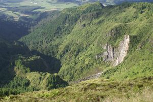 Paisagem do interior de São Miguel, a caminho da Lagoa do Fogo, ilha de São Miguel, Açores.JPG