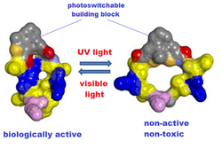 Photoactivable peptide cartoon2.png