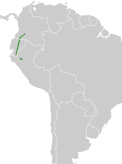 Phylloscartes gualaquizae map.svg