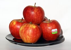 Rubens apples on plate.jpg
