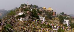 Thrangu Tashi Yangtse Monastery.jpg