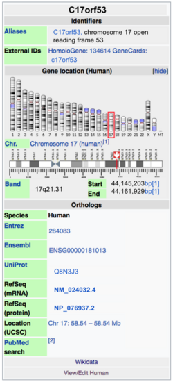 Updated C17orf53 manual entry of infobox gene.png