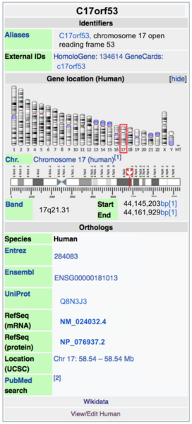 File:Updated C17orf53 manual entry of infobox gene.png