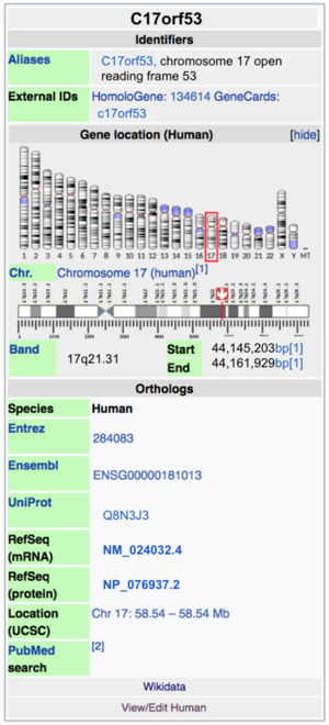 Updated C17orf53 manual entry of infobox gene.png