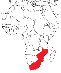 Map of Africa showing South Africa, Malawi, Mozambique and Zimbabwe highlighted
