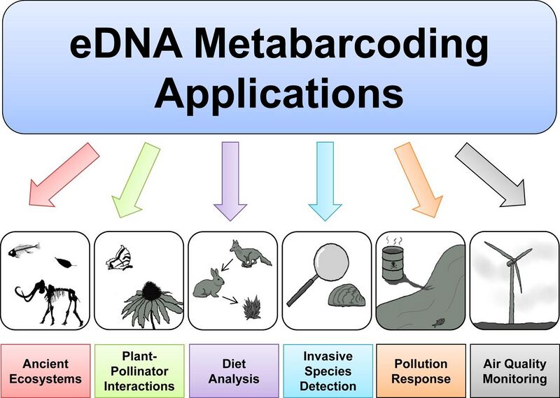 File:Applications of environmental DNA metabarcoding in aquatic and terrestrial ecosystems.jpg